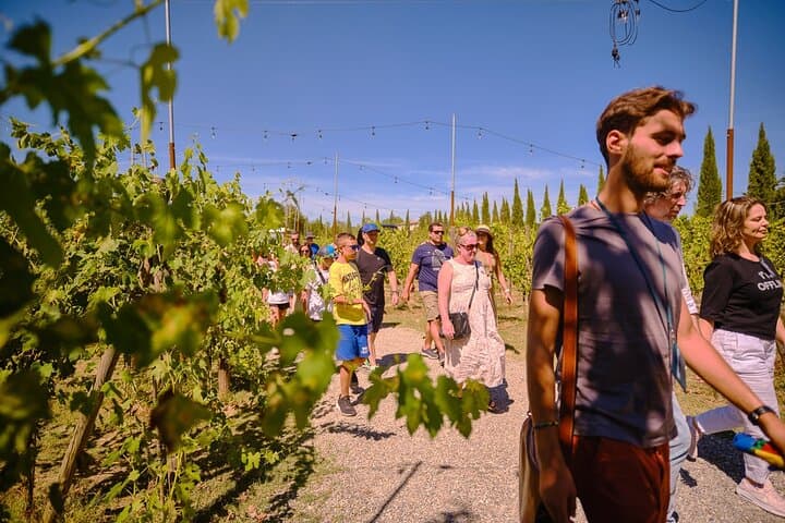 Siena, San Gimignano and Chianti Wines Day Tour from Florence