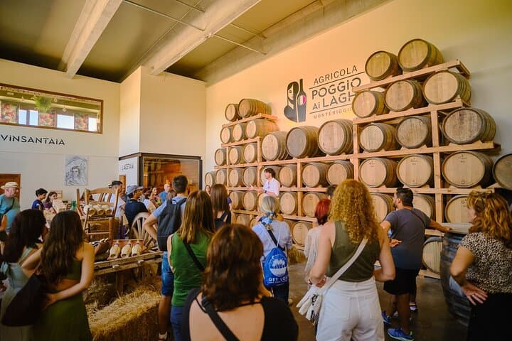 Siena, San Gimignano and Chianti Wines Day Tour from Florence