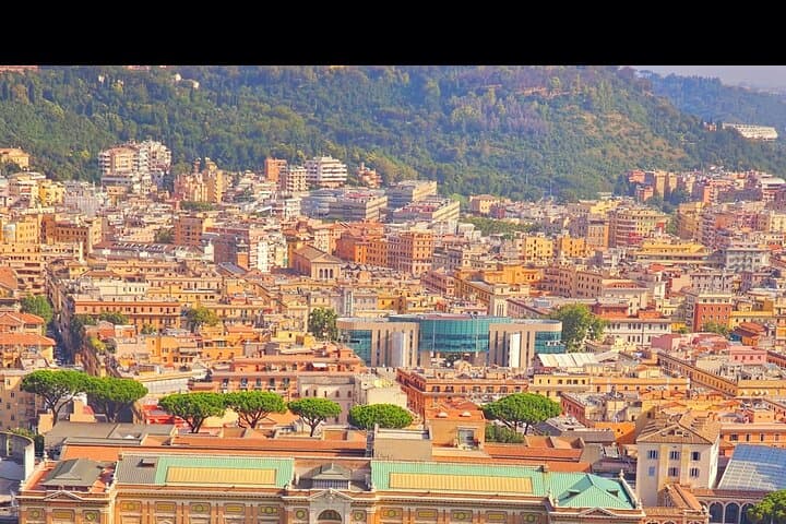 St. Peter's Basilica & Dome Tour with Professional Art Historian