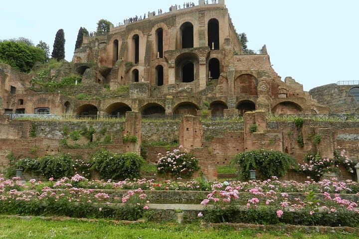 Colosseum Gladiator's Arena and Ancient Rome Tour
