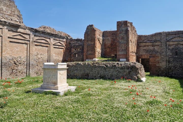 Herculaneum, Pompeii & Paestum Private Tour from Rome with lunch