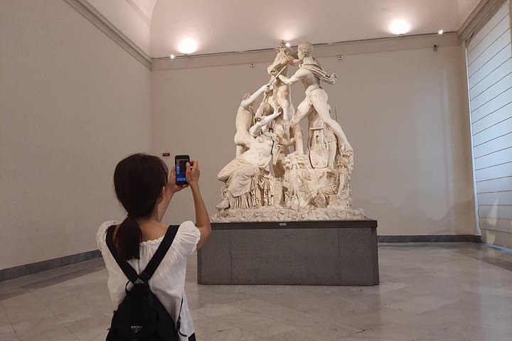 Pompeii ruins and Archaeological Museum private tour from Rome