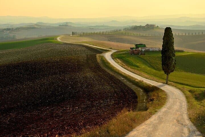 Guided tour in wonderful Tuscany