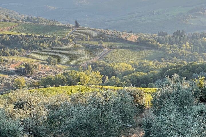 Private Chianti scooter tours for solo travelers