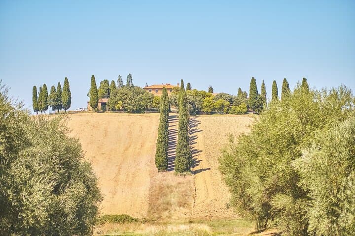 Val d’Orcia & Tuscany Day from Rome with Wine and Cheese Tasting