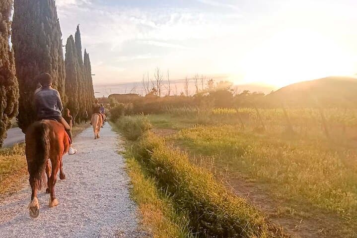 Horseback riding at sunset 1 hour at the Certosa di Pisa