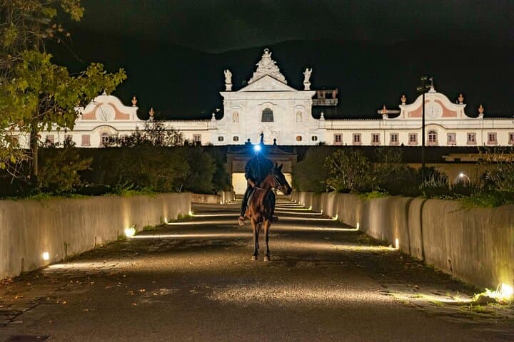 Horseback riding at sunset 1 hour at the Certosa di Pisa
