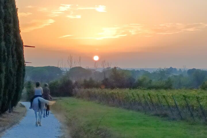 Horseback riding at sunset 1 hour at the Certosa di Pisa