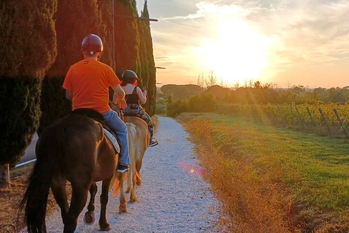 Horseback riding at sunset 1 hour at the Certosa di Pisa
