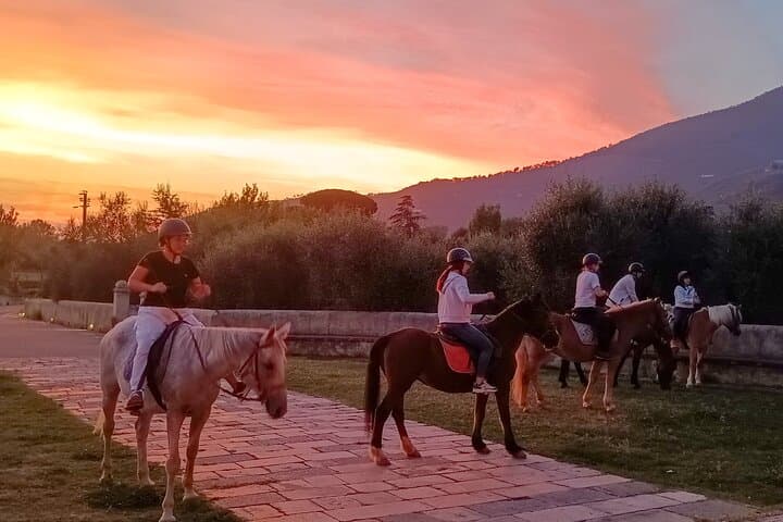 Horseback riding at sunset 1 hour at the Certosa di Pisa