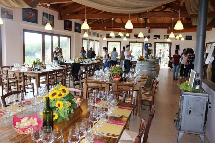 Wine Tasting Experience Etna Nord