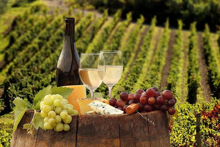Wine Tasting Experience Etna Nord