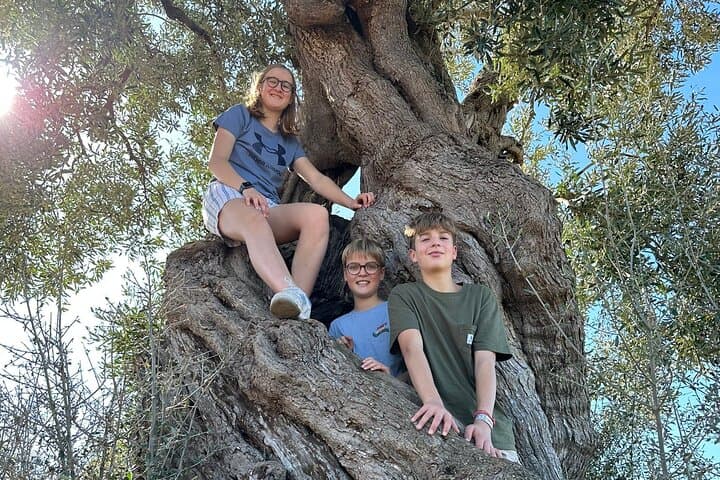 E-bike tour in Ostuni. Oil mill, Dolmen and huge olive trees
