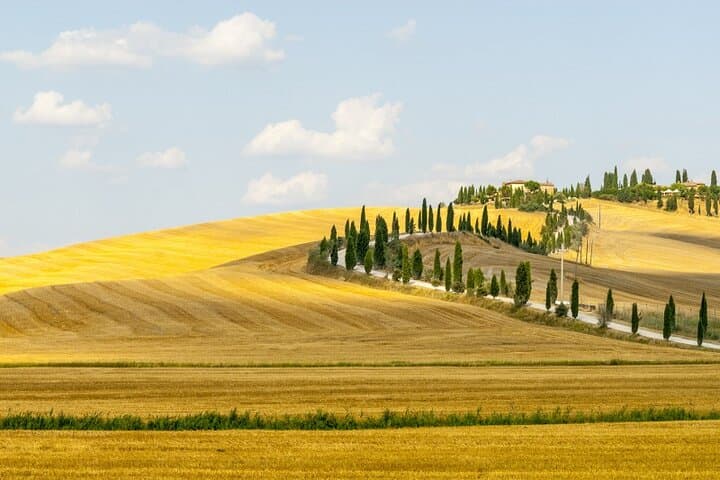 Guided tour in wonderful Tuscany