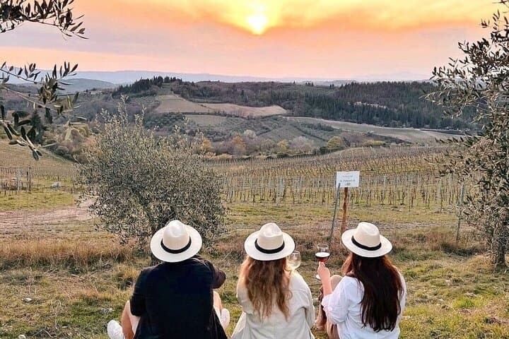 The Essence of Tuscany: Private Chianti & Estate Winery Lunch