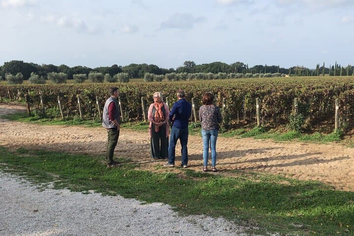 Exclusive Private Assisi & Sagrantino Wines Experience