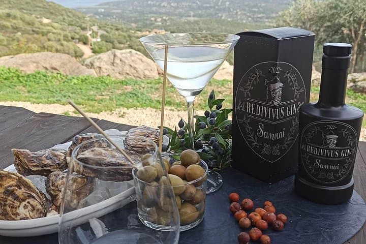 Olbia: visit a gin-making factory with tasting