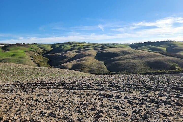 Guided tour in wonderful Tuscany