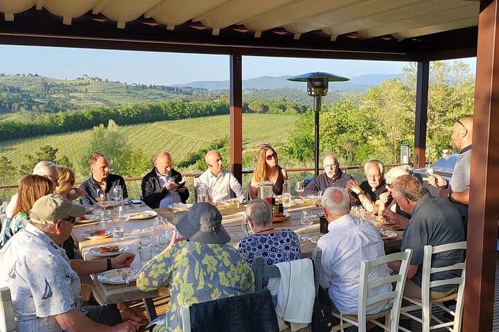Evo Oil Tasting School, olive grove walk and lunch