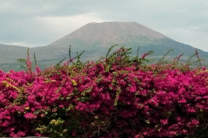 Top Excursions-Italy
Pompeii & Vesuvius SkipTheLine Lunch and WineTasting from Rome