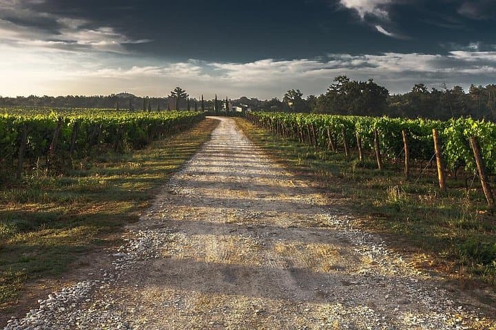 Grand Wine Tour from Catania or Taormina