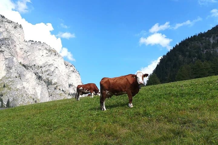 The Grand Dolomites Tour from Lake Garda
