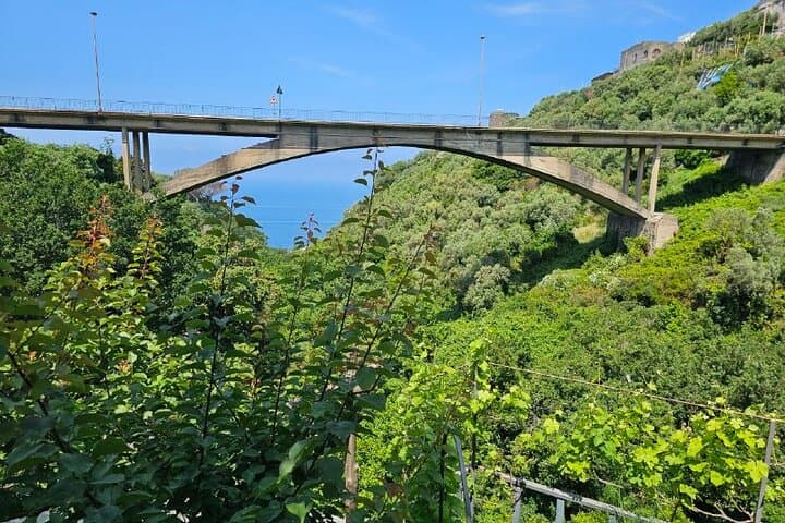 E-Bike Tour in the Sorrento Peninsula and Visit to Acetaia