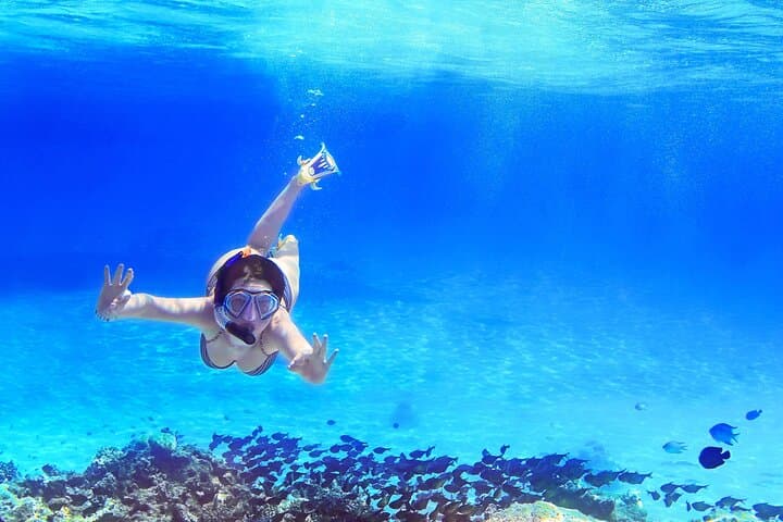 Snorkeling in Capri - Boat Tour from Amalfi