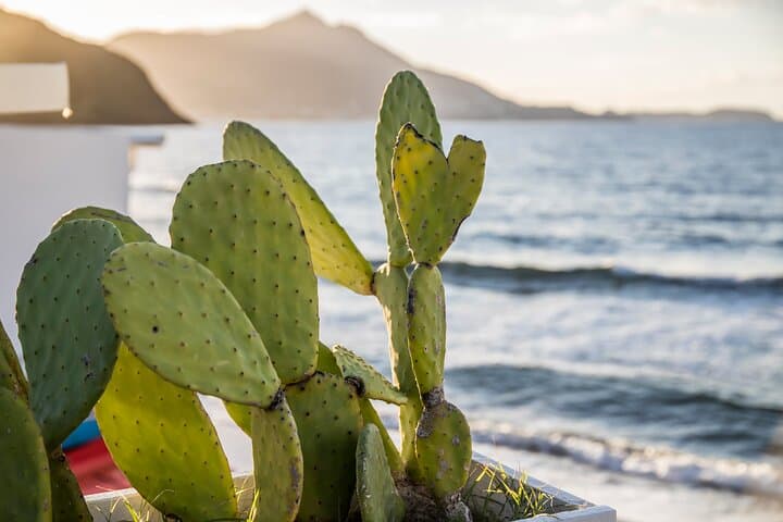 Discovering Sicily's Roots - Private Tour of Sicily