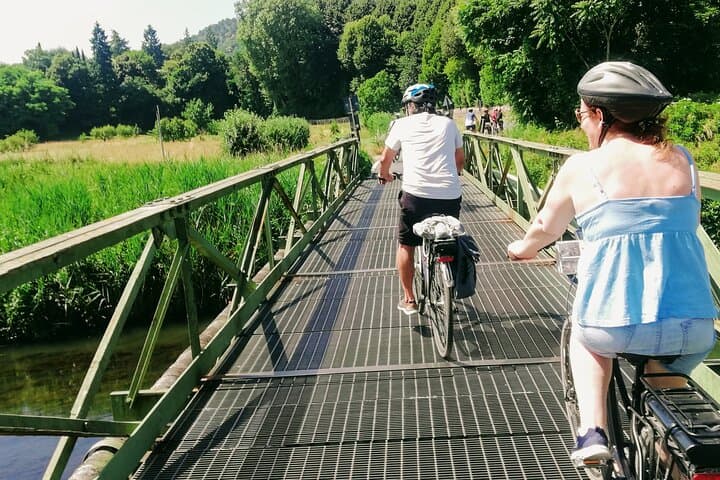 Guided E-Bike Tour with Wine Tasting from Lucca