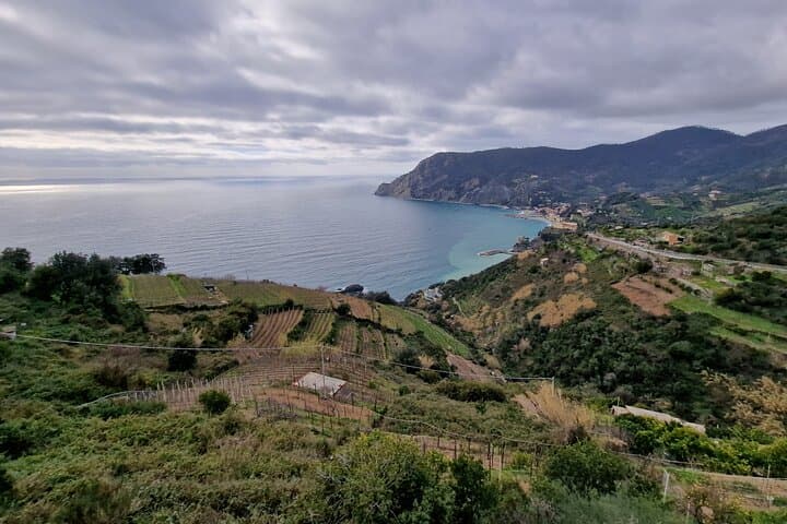 Cinque Terre and Pisa Limousine service from Florence 12 hours