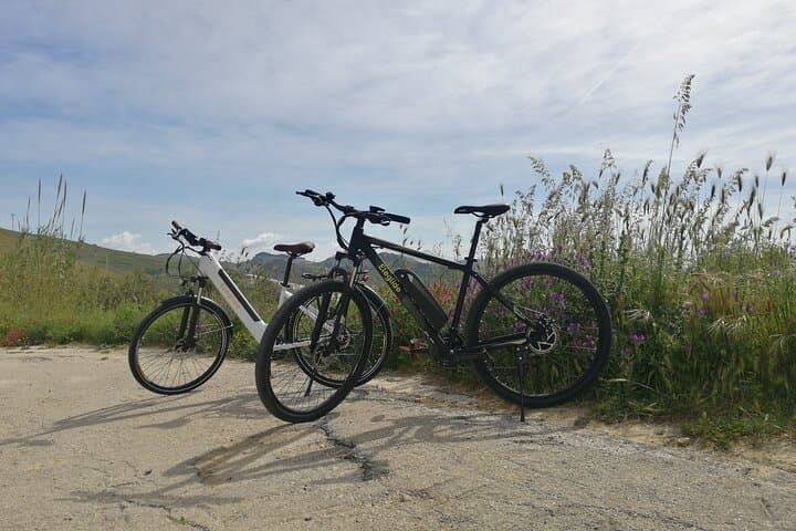 our Ebikes
