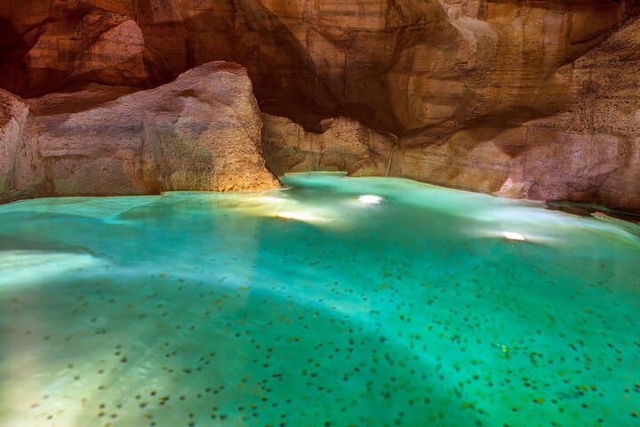 Rome: Trevi Fountain District and Underground Domus Guided Tour