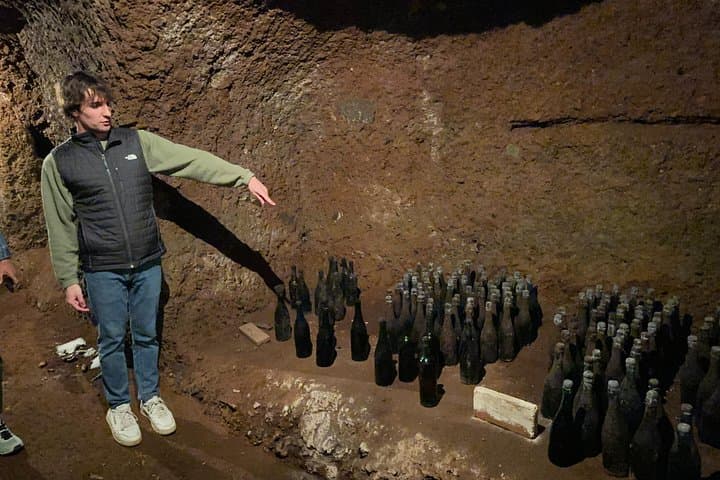 Frascati Wine Tasting Tour: The Flavors of the Roman Countryside