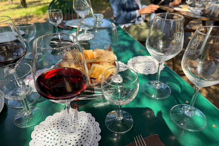 Frascati Wine Tasting Tour: The Flavors of the Roman Countryside