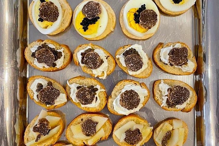 Truffle Hunting & Tasting in San Miniato Tuscany with Dogs
