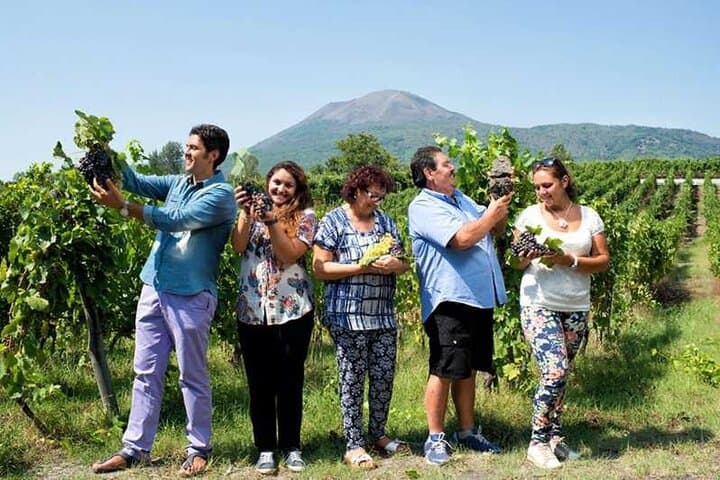 Private day tour: Sorrento, Positano, Amalfi and Ravello.