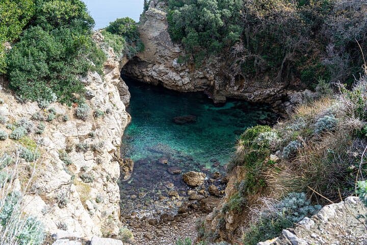 Stand Up Paddle Experience in Sorrento