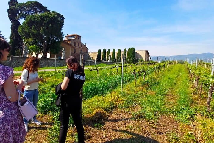 Lake Iseo & Franciacorta Winery. Scenic & Wine Tasting tour