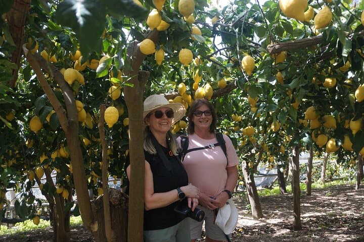 Lemon Experience