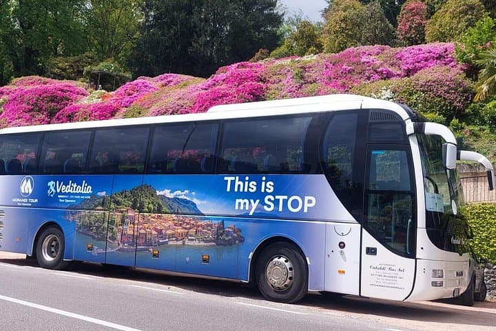 Our bus