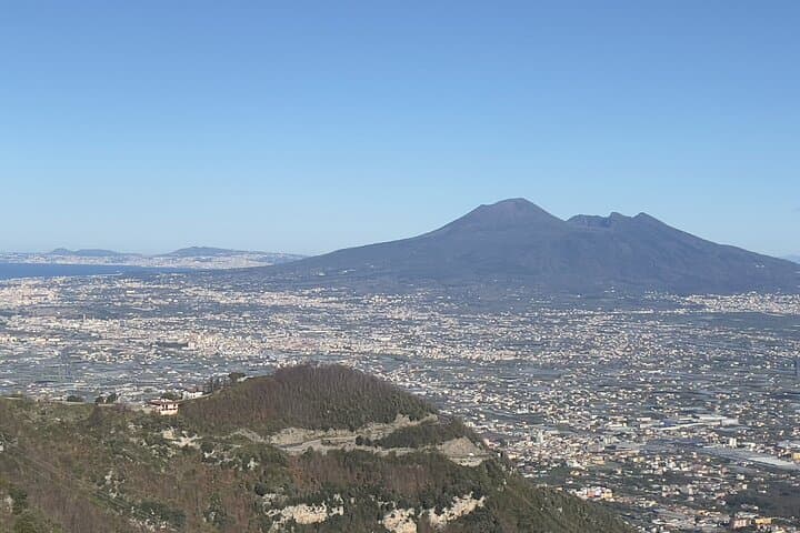 From Sorrento: Pompeii guided tour & wine tasting All Inclusive