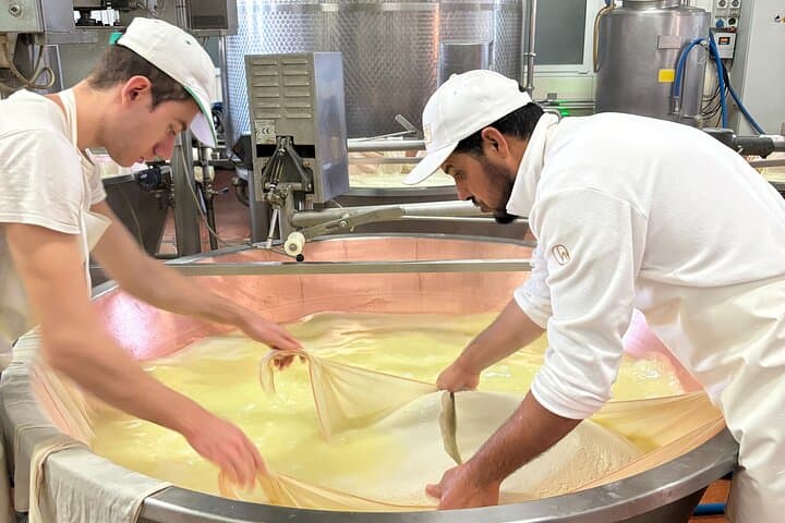 Visiting the Parmigiano Reggiano dairy farm