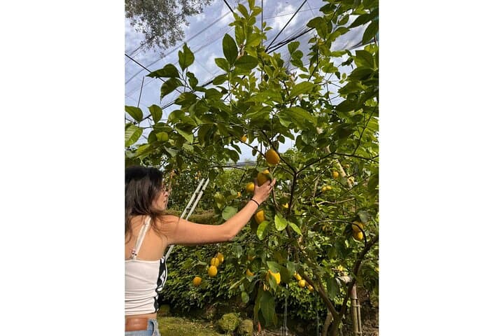 Nonna Concettina Sorrento Lemon Tour
