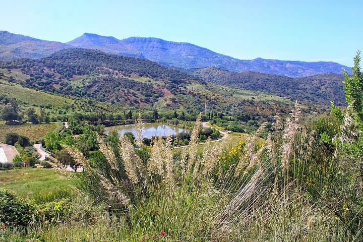 Private Wine Tasting & Lunch Journey from Cefalù