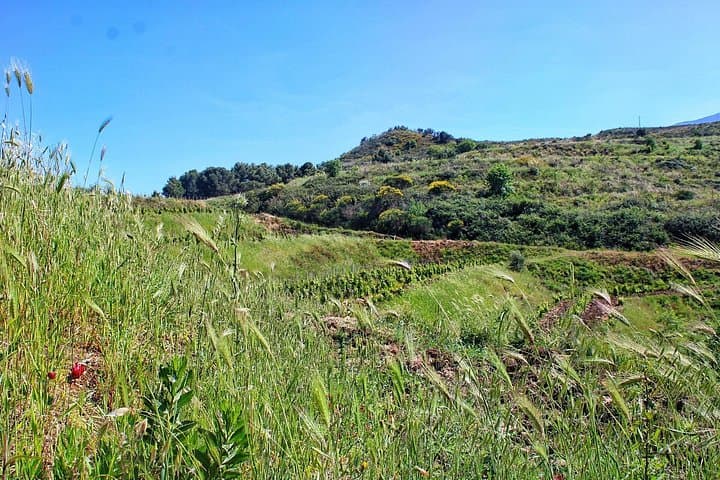 Private Wine Tasting & Lunch Journey from Cefalù