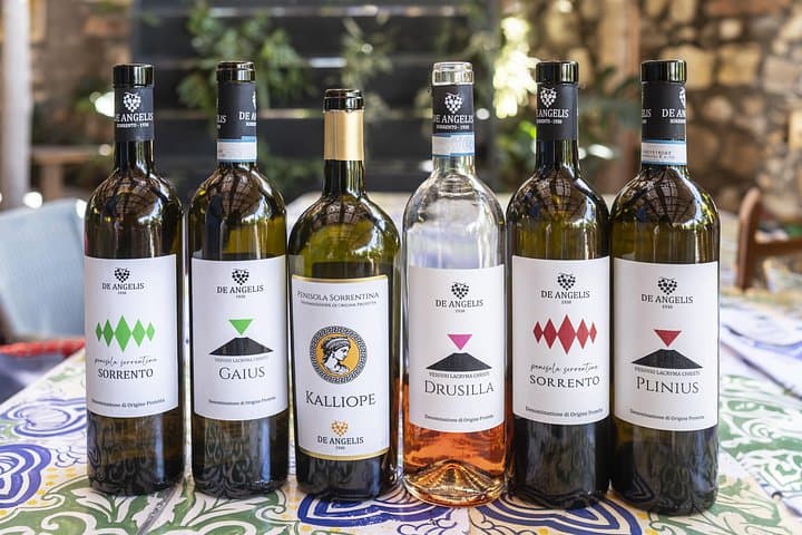 Tasting in the vineyard