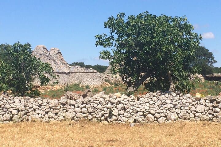 ALBEROBELLO - the charming abandoned Trulli in the countryside