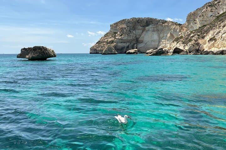 Boat tour the devil's saddle,snorkeling,prosecco and lots of sun