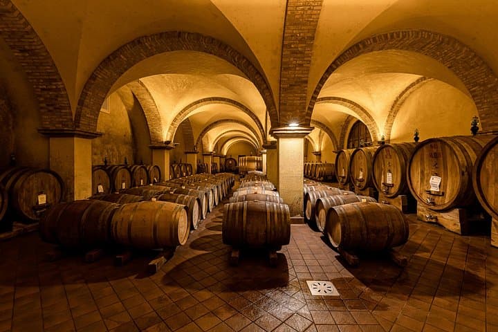 Visit to the barrel cellar